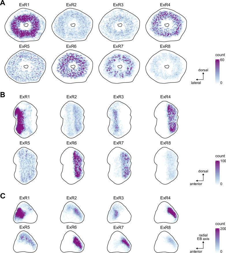 https://cdn.ncbi.nlm.nih.gov/pmc/blobs/0f12/9477501/8ab676a48952/elife-66039-fig10-figsupp3.jpg