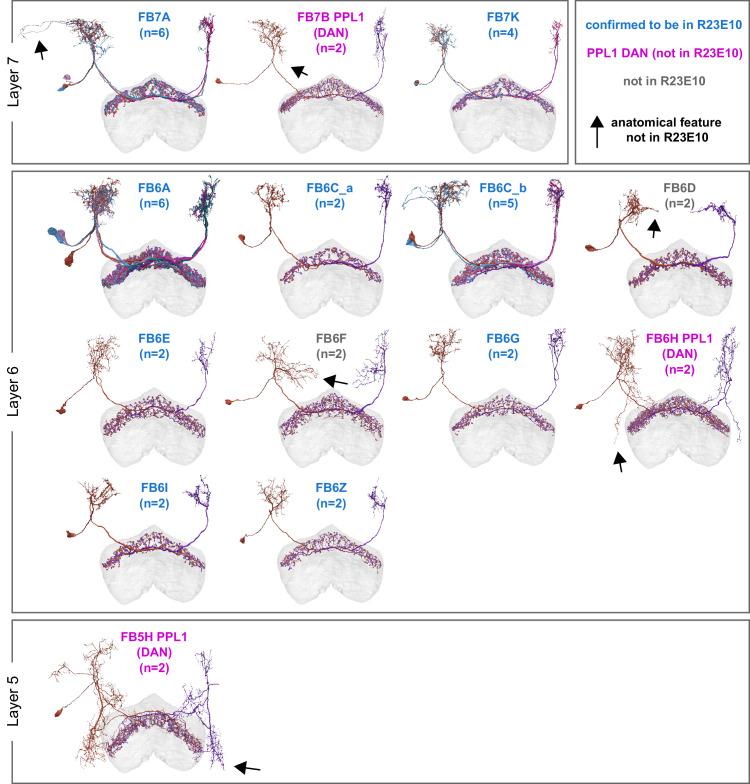 https://cdn.ncbi.nlm.nih.gov/pmc/blobs/0f12/9477501/9765f1bb97e1/elife-66039-fig48-figsupp2.jpg