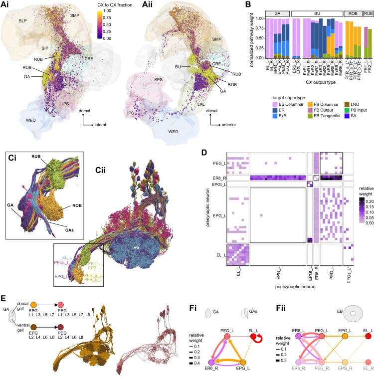 https://cdn.ncbi.nlm.nih.gov/pmc/blobs/0f12/9477501/a1ba5fa508aa/elife-66039-fig56.jpg