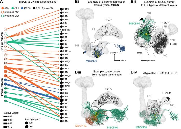 https://cdn.ncbi.nlm.nih.gov/pmc/blobs/0f12/9477501/dd47ff1bf02d/elife-66039-fig46.jpg