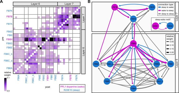 https://cdn.ncbi.nlm.nih.gov/pmc/blobs/0f12/9477501/e4e1fccf7957/elife-66039-fig50.jpg
