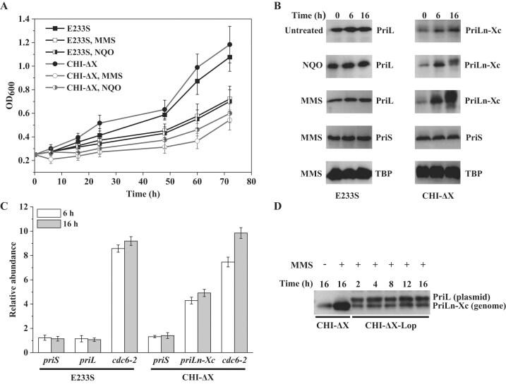 https://cdn.ncbi.nlm.nih.gov/pmc/blobs/0f13/12019639/6c11a20f023b/gkaf322fig1.jpg