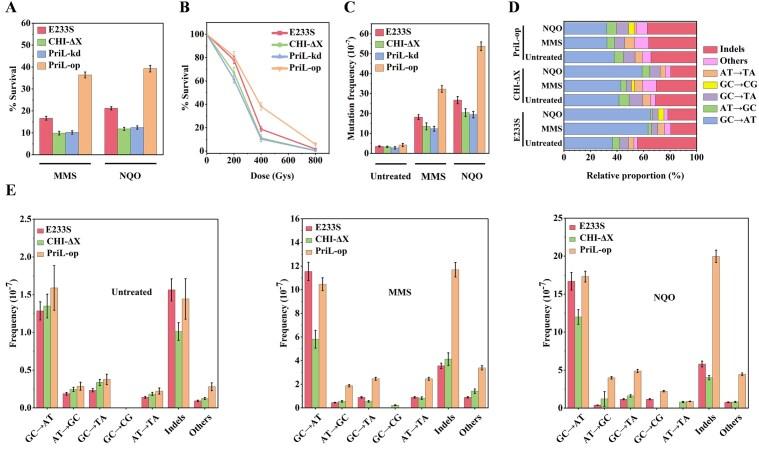 https://cdn.ncbi.nlm.nih.gov/pmc/blobs/0f13/12019639/6c9b5d667c10/gkaf322fig2.jpg