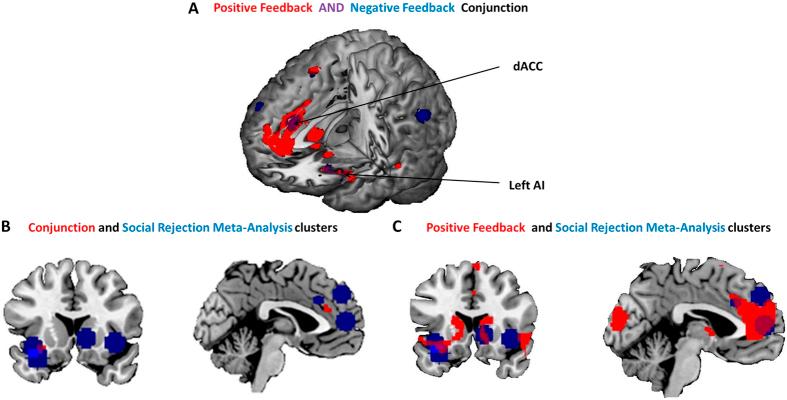 https://cdn.ncbi.nlm.nih.gov/pmc/blobs/0f13/5294419/abdd307858ce/srep42010-f3.jpg