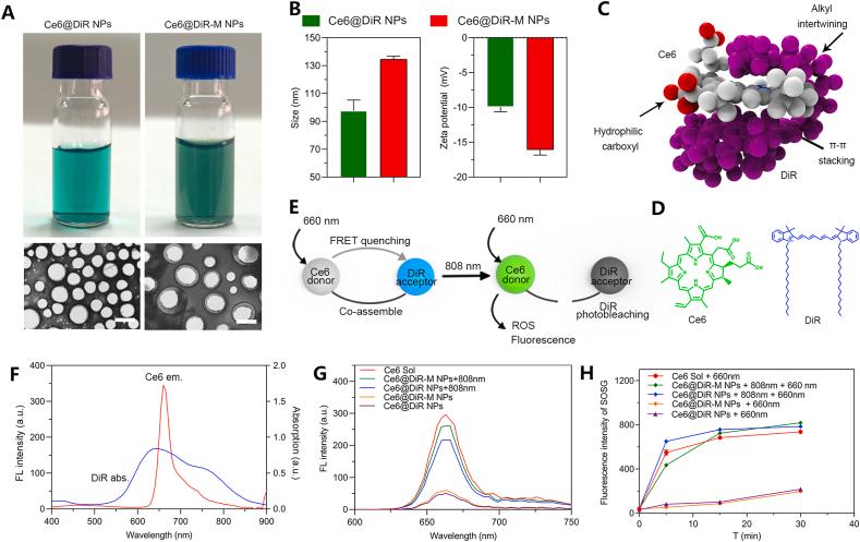 https://cdn.ncbi.nlm.nih.gov/pmc/blobs/0f18/7841442/1c4928692242/gr3.jpg