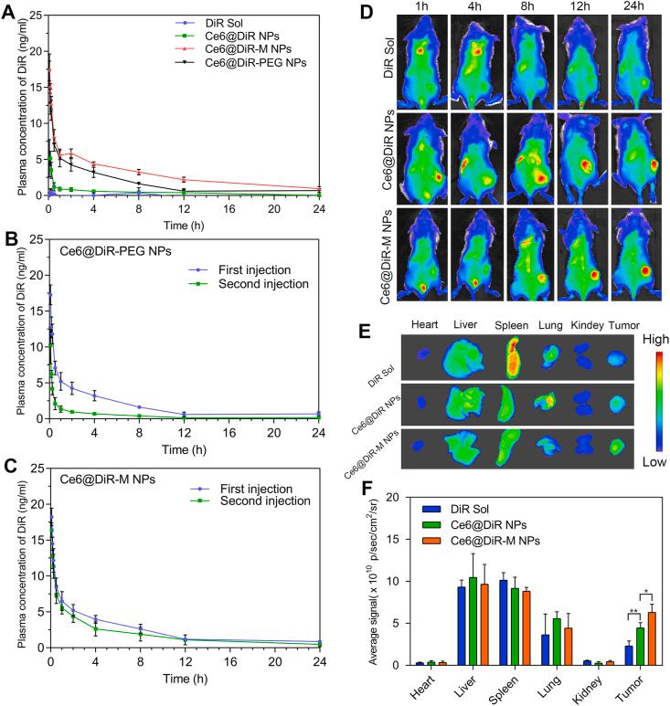 https://cdn.ncbi.nlm.nih.gov/pmc/blobs/0f18/7841442/b474952626bb/gr5.jpg