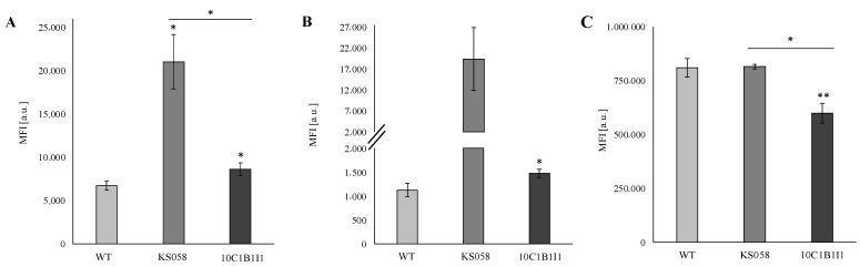 https://cdn.ncbi.nlm.nih.gov/pmc/blobs/0f18/8836035/03ae7fe0a255/ijms-23-01631-g005.jpg