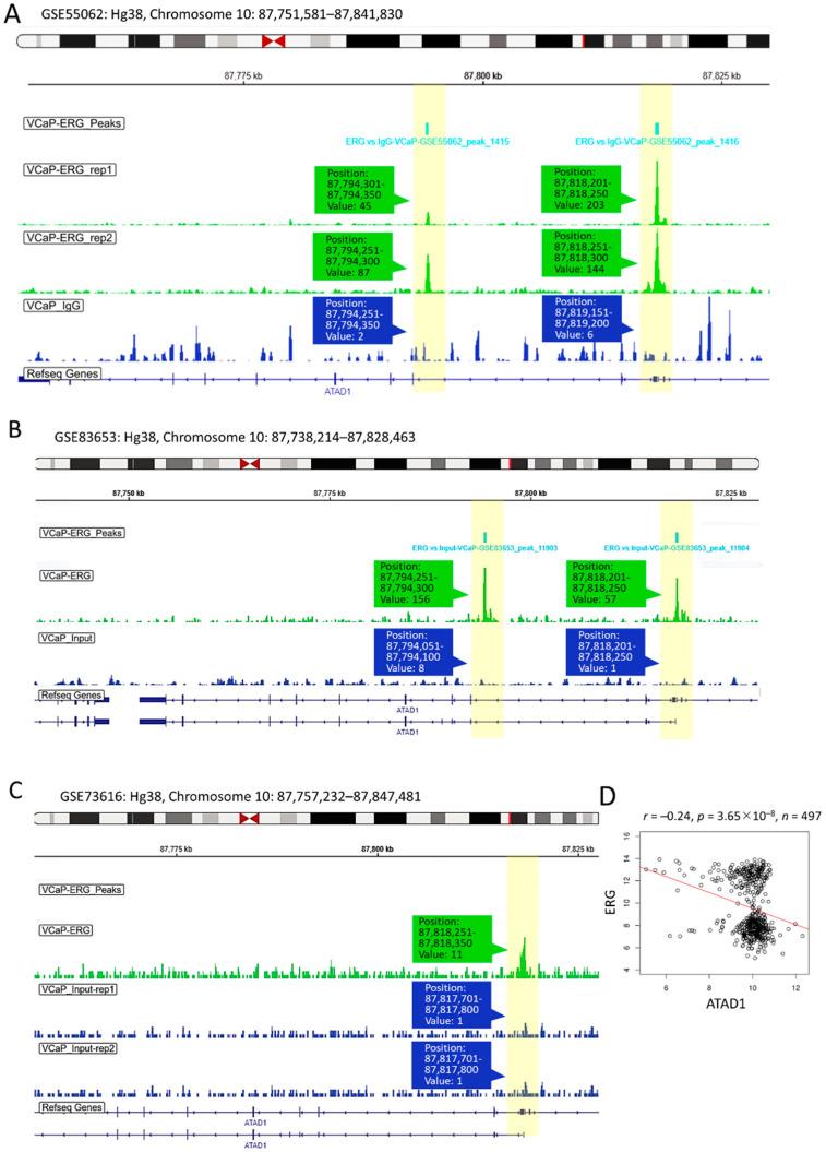 https://cdn.ncbi.nlm.nih.gov/pmc/blobs/0f1a/9698943/155ca3fa75f0/life-12-01742-g007.jpg