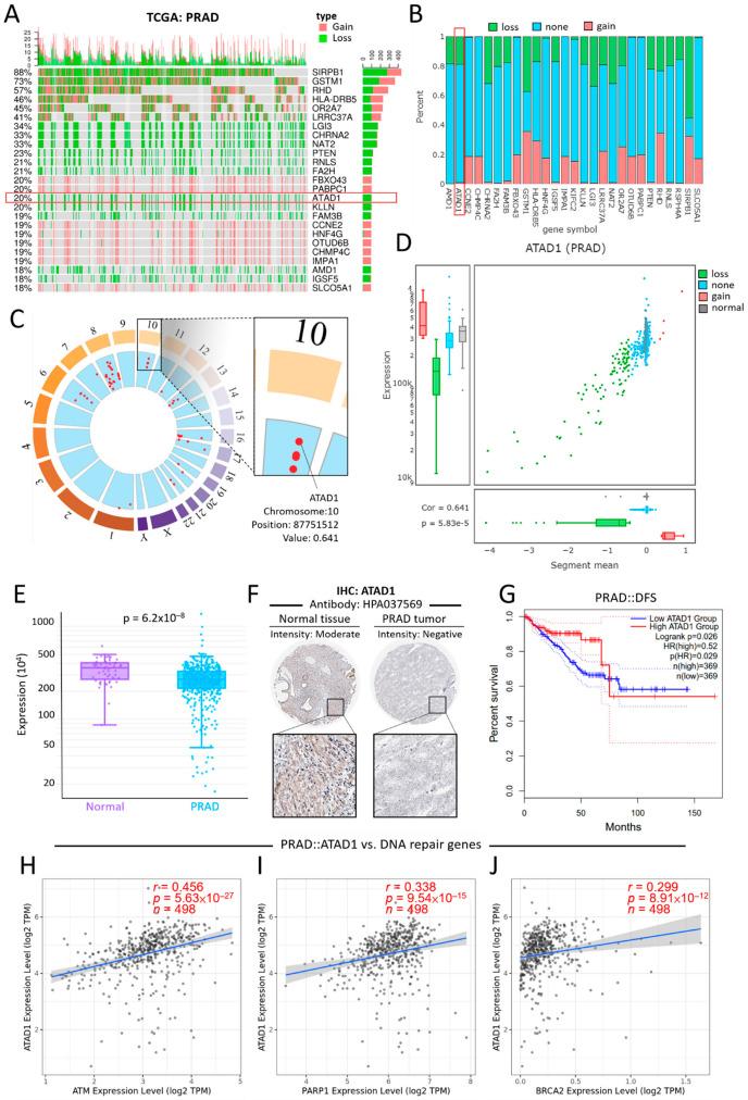 https://cdn.ncbi.nlm.nih.gov/pmc/blobs/0f1a/9698943/ddbab47977a3/life-12-01742-g003.jpg