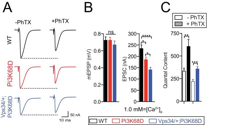 https://cdn.ncbi.nlm.nih.gov/pmc/blobs/0f1b/5773188/1499b05ecf5e/elife-31535-fig8-figsupp1.jpg