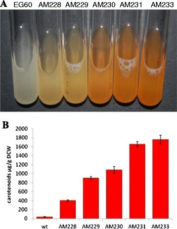 https://cdn.ncbi.nlm.nih.gov/pmc/blobs/0f1c/4413541/f3c66e51e1b9/12934_2015_246_Fig6_HTML.jpg