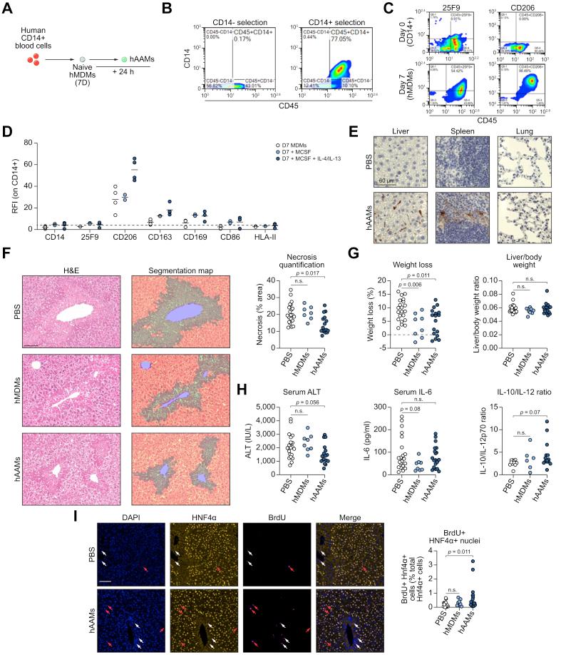 https://cdn.ncbi.nlm.nih.gov/pmc/blobs/0f1d/7378576/3c5de1f6abb3/gr5.jpg