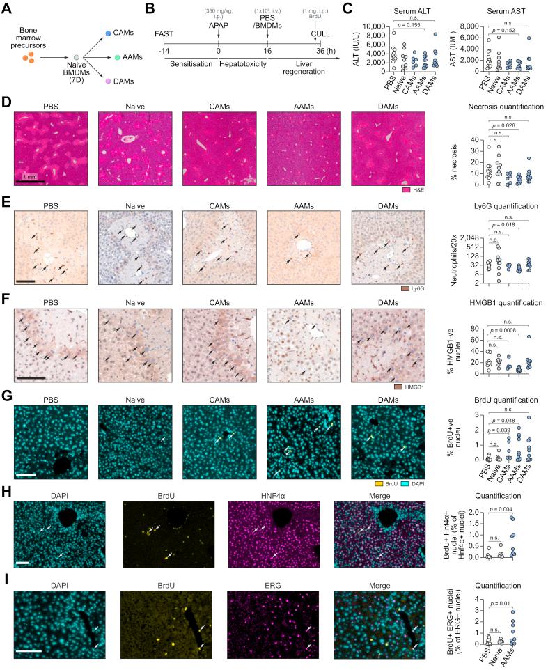 https://cdn.ncbi.nlm.nih.gov/pmc/blobs/0f1d/7378576/c8695367359c/gr1.jpg