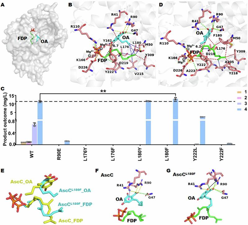https://cdn.ncbi.nlm.nih.gov/pmc/blobs/0f1f/11794439/0510e8ffbd7e/42003_2025_7509_Fig5_HTML.jpg