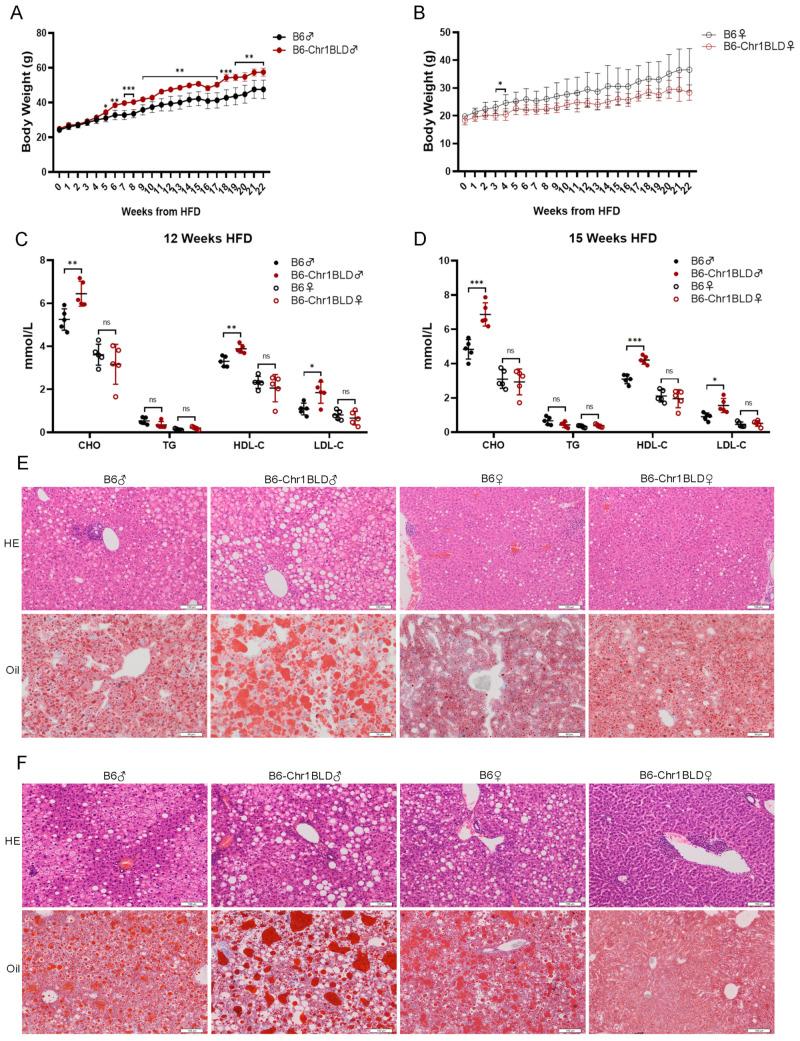 https://cdn.ncbi.nlm.nih.gov/pmc/blobs/0f1f/9781061/070b17f5c864/metabolites-12-01276-g004.jpg