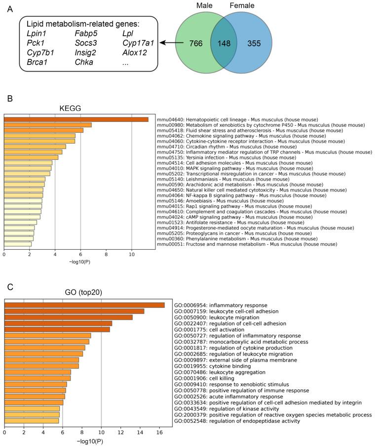 https://cdn.ncbi.nlm.nih.gov/pmc/blobs/0f1f/9781061/226d9e975dcd/metabolites-12-01276-g008.jpg