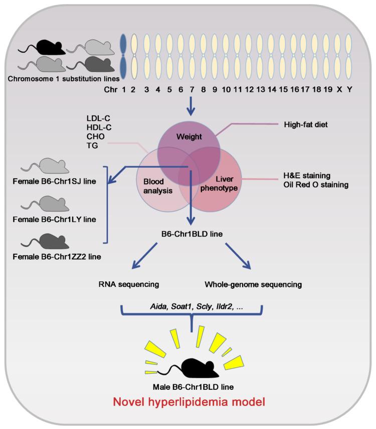 https://cdn.ncbi.nlm.nih.gov/pmc/blobs/0f1f/9781061/603410bd6be4/metabolites-12-01276-g009.jpg