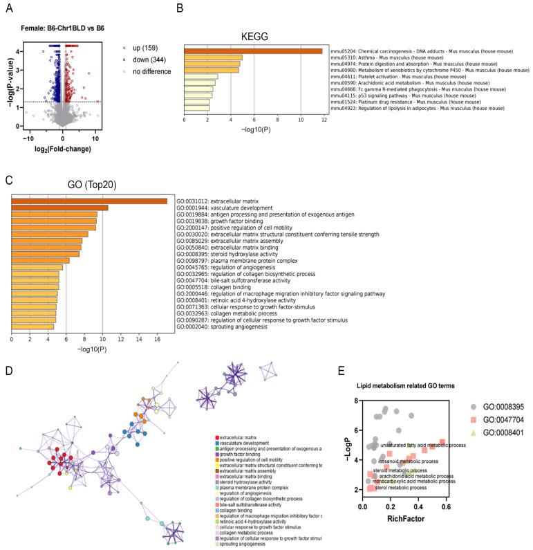 https://cdn.ncbi.nlm.nih.gov/pmc/blobs/0f1f/9781061/9206f67da12e/metabolites-12-01276-g007.jpg