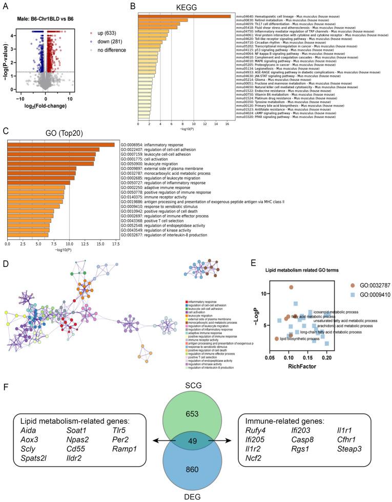 https://cdn.ncbi.nlm.nih.gov/pmc/blobs/0f1f/9781061/c22590cf361f/metabolites-12-01276-g006.jpg