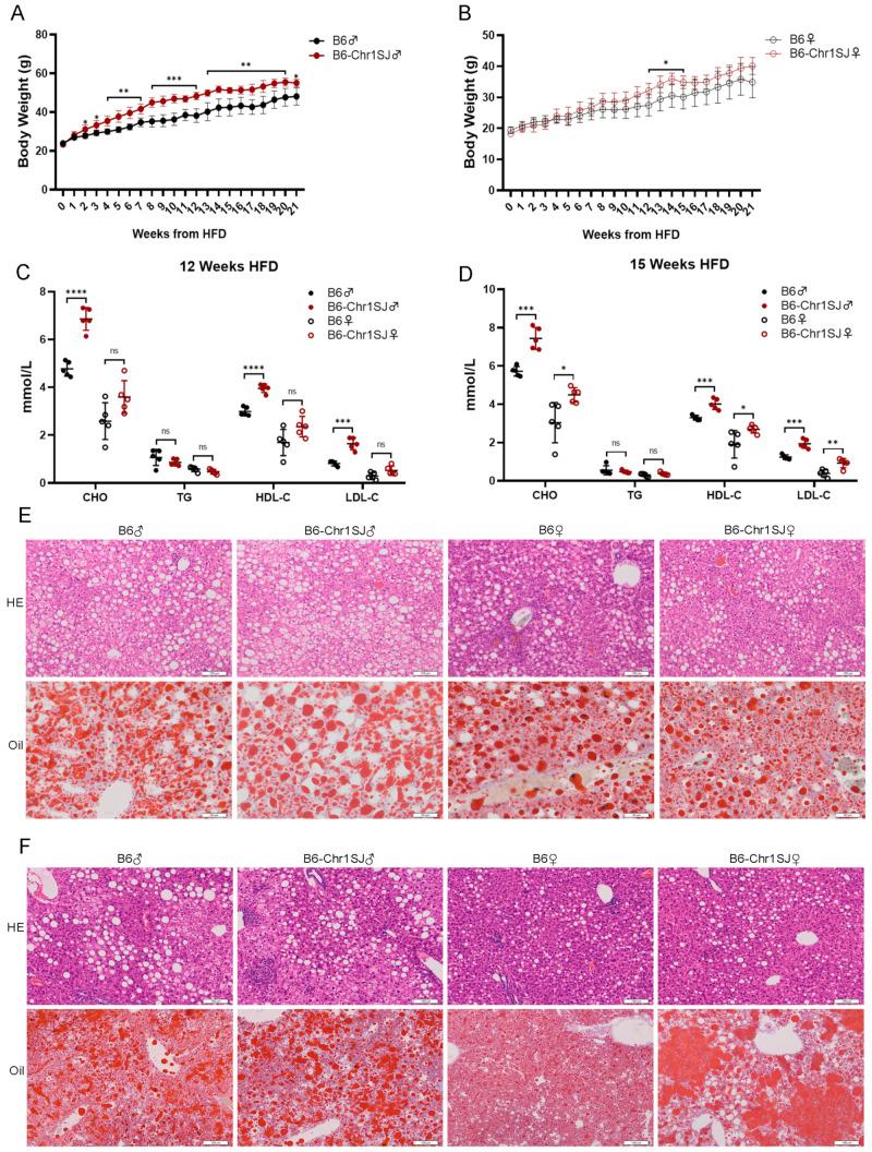 https://cdn.ncbi.nlm.nih.gov/pmc/blobs/0f1f/9781061/e46be54501c4/metabolites-12-01276-g001.jpg