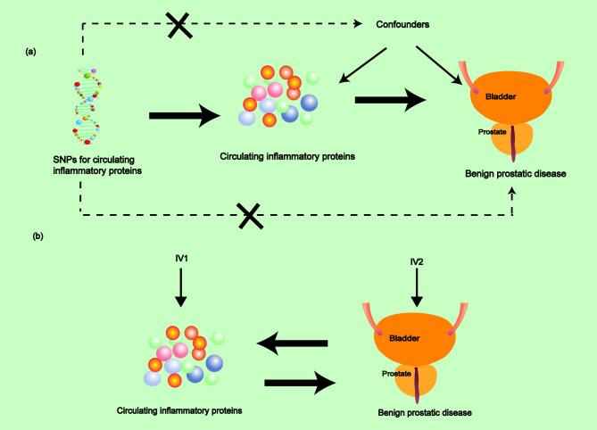 https://cdn.ncbi.nlm.nih.gov/pmc/blobs/0f20/11467427/ab8c99d1f2d5/41598_2024_74737_Fig1_HTML.jpg