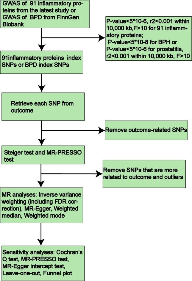 https://cdn.ncbi.nlm.nih.gov/pmc/blobs/0f20/11467427/cdcc9eb02c12/41598_2024_74737_Fig2_HTML.jpg