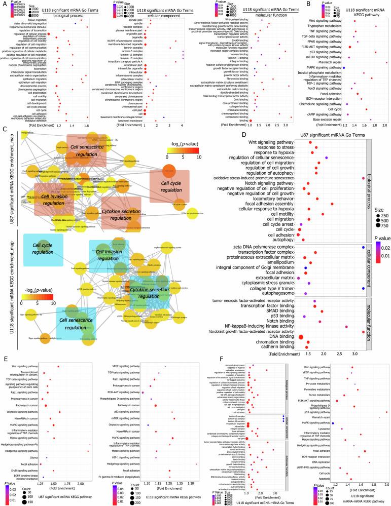 https://cdn.ncbi.nlm.nih.gov/pmc/blobs/0f21/12009364/2fe25a27f910/41419_2025_7617_Fig2_HTML.jpg