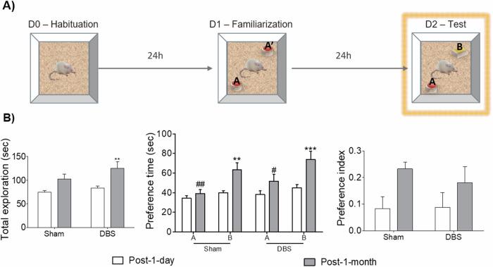 https://cdn.ncbi.nlm.nih.gov/pmc/blobs/0f21/12335527/8a0b78118610/41398_2025_3478_Fig3_HTML.jpg
