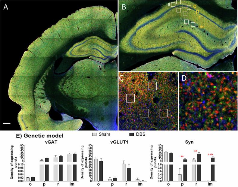 https://cdn.ncbi.nlm.nih.gov/pmc/blobs/0f21/12335527/ad628fb30f95/41398_2025_3478_Fig4_HTML.jpg