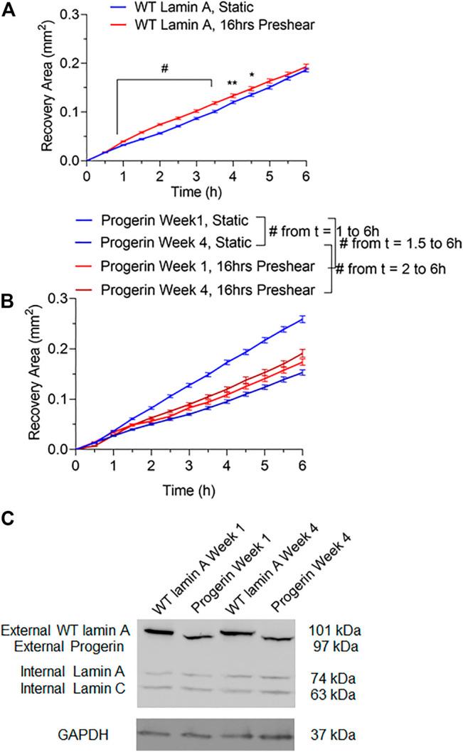 https://cdn.ncbi.nlm.nih.gov/pmc/blobs/0f23/9261432/f05bc60e82ec/fragi-03-844885-g003.jpg