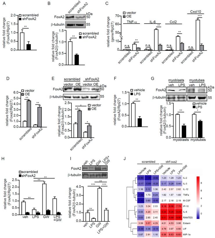 https://cdn.ncbi.nlm.nih.gov/pmc/blobs/0f24/7084392/5c455995f8bd/ijms-21-01747-g004.jpg