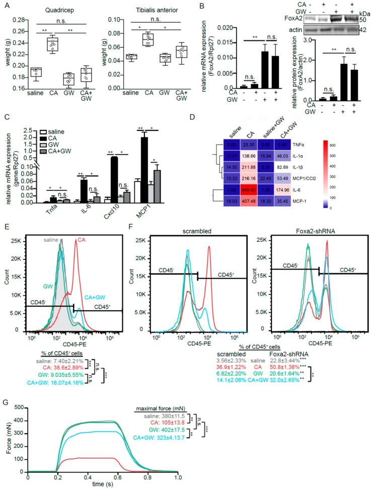 https://cdn.ncbi.nlm.nih.gov/pmc/blobs/0f24/7084392/f96467c1253c/ijms-21-01747-g005.jpg