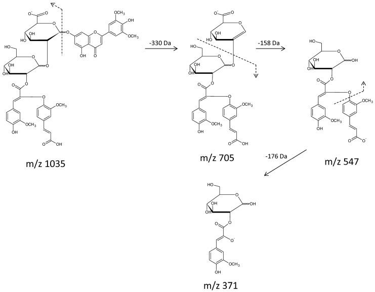 https://cdn.ncbi.nlm.nih.gov/pmc/blobs/0f25/6273421/1e29fc33fa7f/molecules-21-01229-g005.jpg