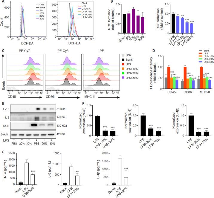 https://cdn.ncbi.nlm.nih.gov/pmc/blobs/0f28/11438333/e7c2bb80b446/NRR-20-1178-g004.jpg