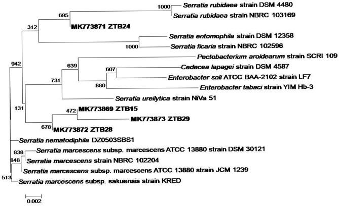 https://cdn.ncbi.nlm.nih.gov/pmc/blobs/0f29/7431563/fa89d8c97d4b/41598_2020_70846_Fig1_HTML.jpg