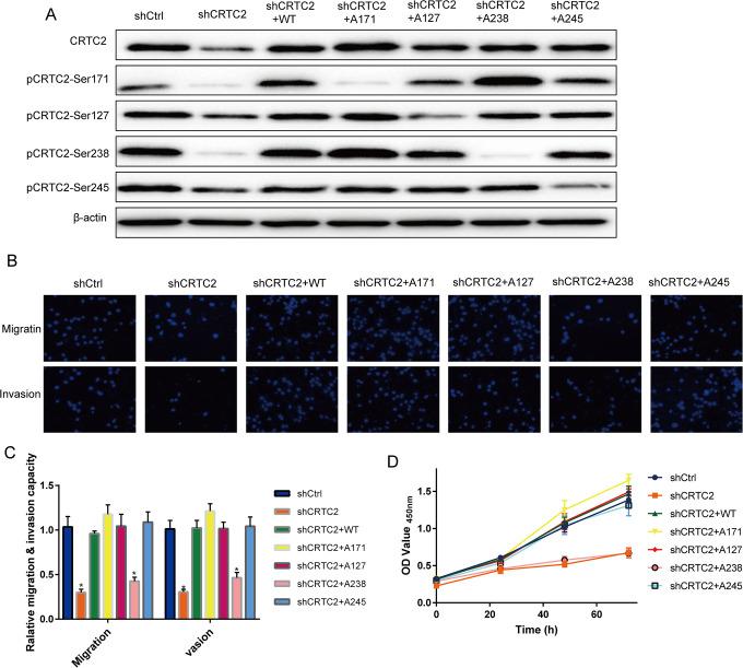 https://cdn.ncbi.nlm.nih.gov/pmc/blobs/0f29/7533939/c02c5bf27445/10.1177_1533033820962111-fig3.jpg
