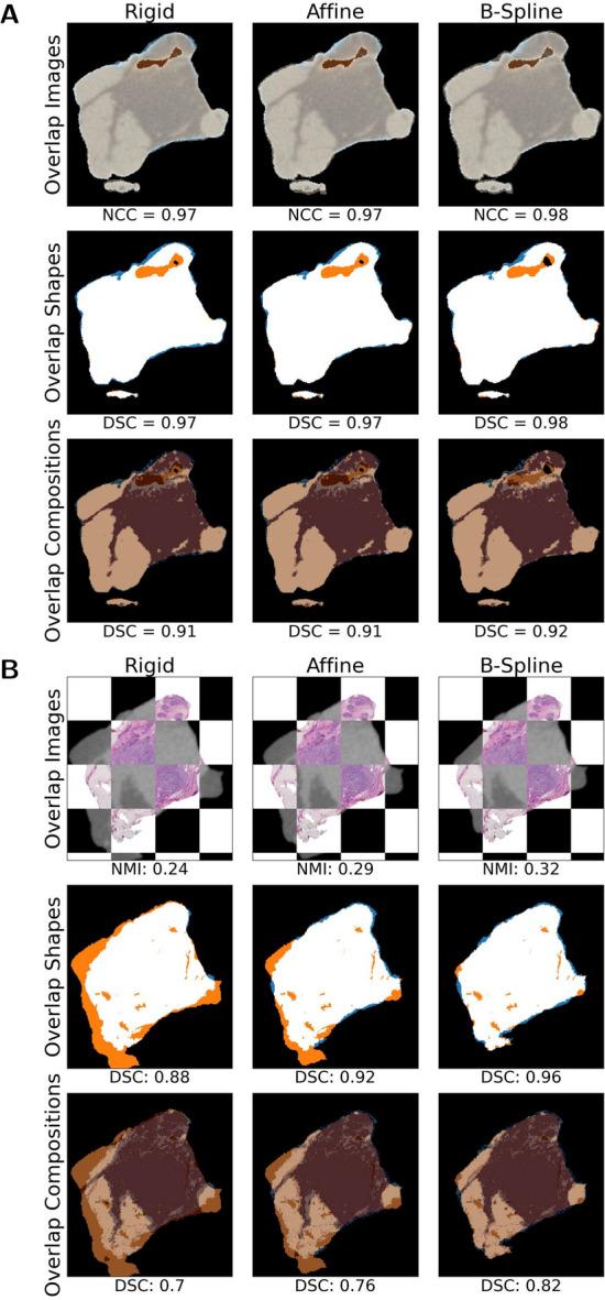 https://cdn.ncbi.nlm.nih.gov/pmc/blobs/0f2b/11473743/49cc996b7834/40658_2024_681_Fig5_HTML.jpg