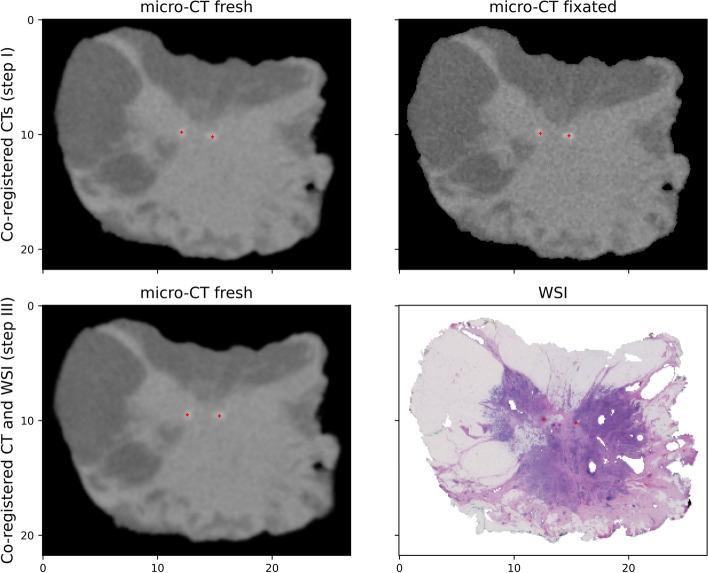 https://cdn.ncbi.nlm.nih.gov/pmc/blobs/0f2b/11473743/8f7457577245/40658_2024_681_Fig7_HTML.jpg