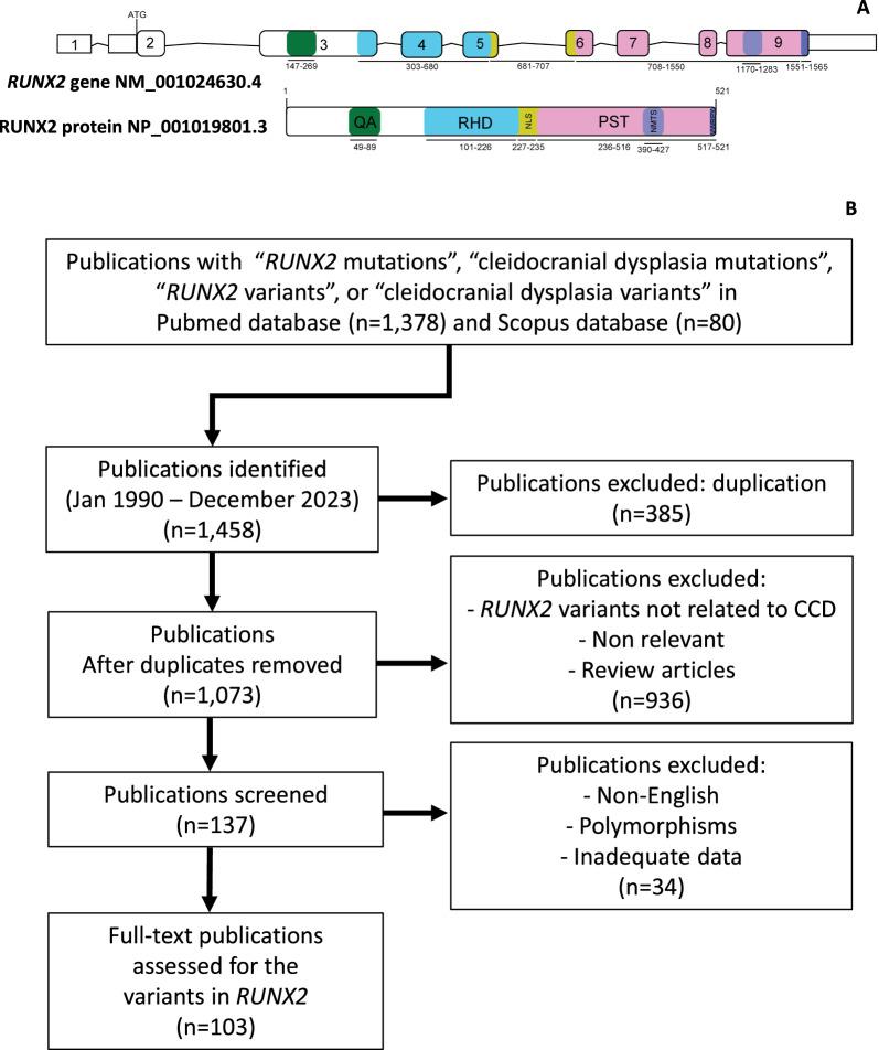 https://cdn.ncbi.nlm.nih.gov/pmc/blobs/0f2c/11613773/6b9aecfd71be/12967_2024_5904_Fig1_HTML.jpg