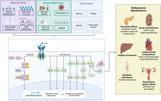 https://cdn.ncbi.nlm.nih.gov/pmc/blobs/0f2f/12224508/c6098b65a8e7/13098_2025_1762_Fig2_HTML.jpg