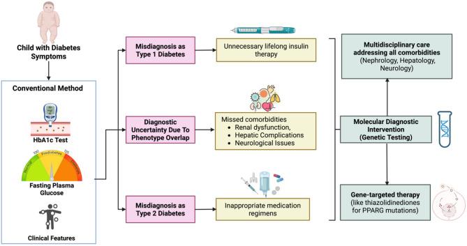 https://cdn.ncbi.nlm.nih.gov/pmc/blobs/0f2f/12224508/cdd7a8984a11/13098_2025_1762_Fig5_HTML.jpg
