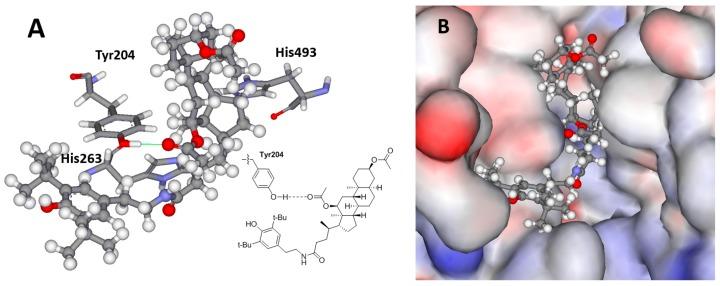 https://cdn.ncbi.nlm.nih.gov/pmc/blobs/0f31/6017735/fc8cef01ff57/molecules-23-00679-g002.jpg