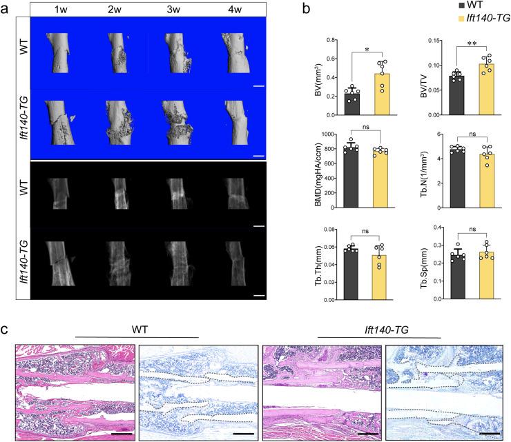 https://cdn.ncbi.nlm.nih.gov/pmc/blobs/0f33/12327822/5e192ed93be2/gr4.jpg