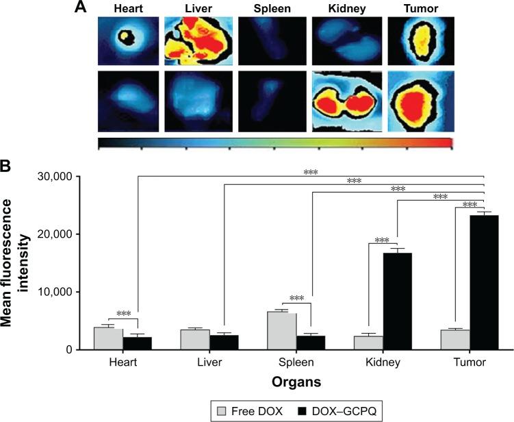 https://cdn.ncbi.nlm.nih.gov/pmc/blobs/0f34/6302811/ec9c6e41c81c/ijn-14-001Fig12.jpg