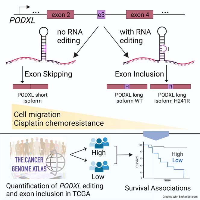 https://cdn.ncbi.nlm.nih.gov/pmc/blobs/0f34/9382340/43ffcd4ee94a/fx1.jpg
