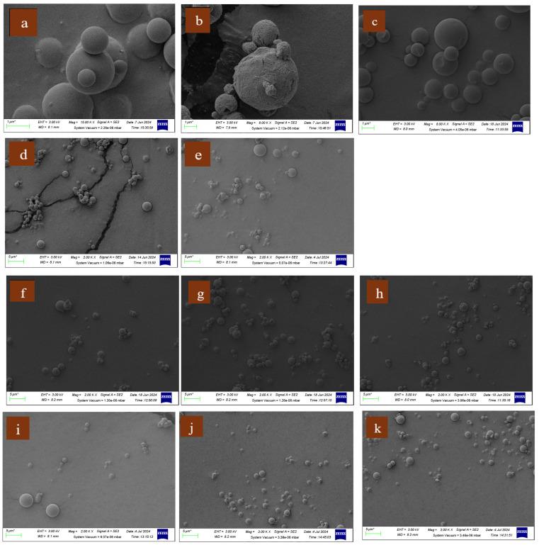 https://cdn.ncbi.nlm.nih.gov/pmc/blobs/0f36/11728515/c66f5778fea9/pharmaceutics-16-01506-g001.jpg