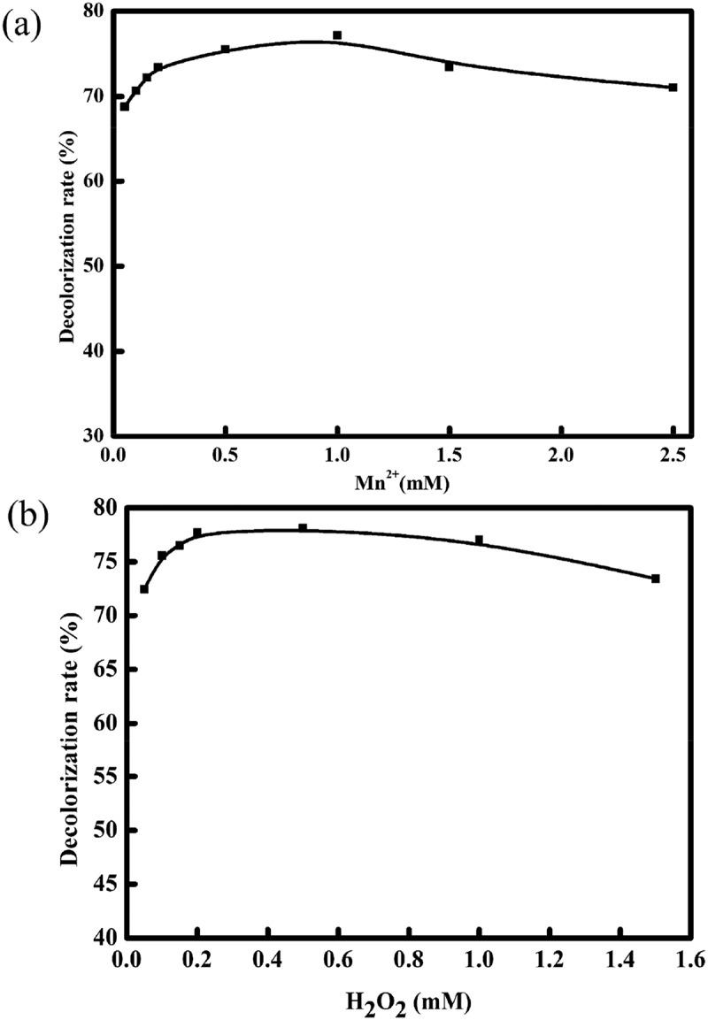https://cdn.ncbi.nlm.nih.gov/pmc/blobs/0f37/6984770/6daaac356728/kbie-09-01-1472465-g003.jpg