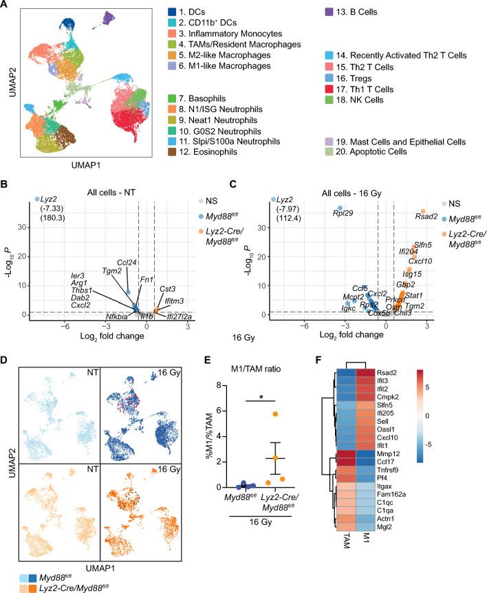 https://cdn.ncbi.nlm.nih.gov/pmc/blobs/0f3d/10224952/12b2ff8ced81/41598_2023_35834_Fig3_HTML.jpg
