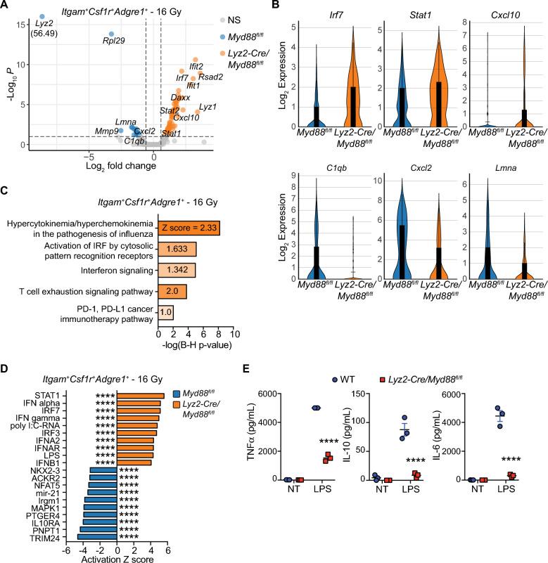 https://cdn.ncbi.nlm.nih.gov/pmc/blobs/0f3d/10224952/62fd2f272978/41598_2023_35834_Fig4_HTML.jpg