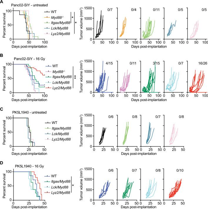 https://cdn.ncbi.nlm.nih.gov/pmc/blobs/0f3d/10224952/e86e83e6216a/41598_2023_35834_Fig2_HTML.jpg